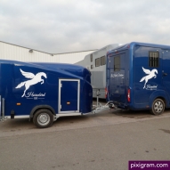 sticker-van-a-chevaux